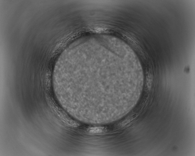 X0000115410461200912011344