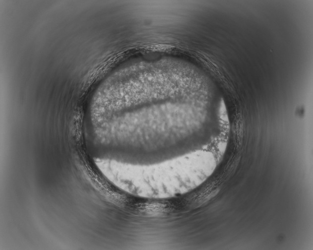 X0000115410462200912011344