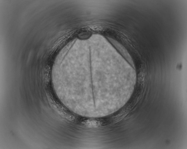 X0000115410464200912011344