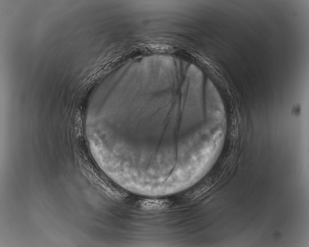 X0000115410465200912011344