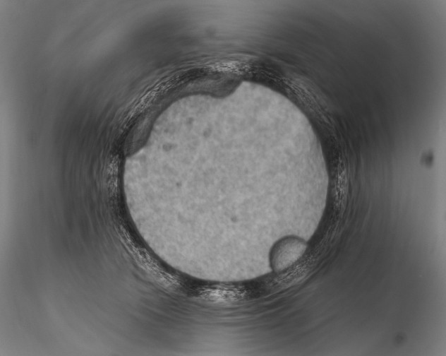 X0000115410466200912011344