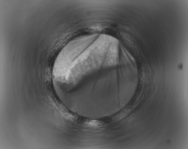 X0000115410467200912011344