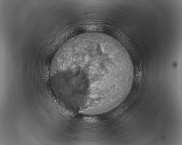 X0000115410469200912011344