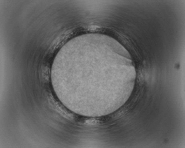 X0000115410470200912011344