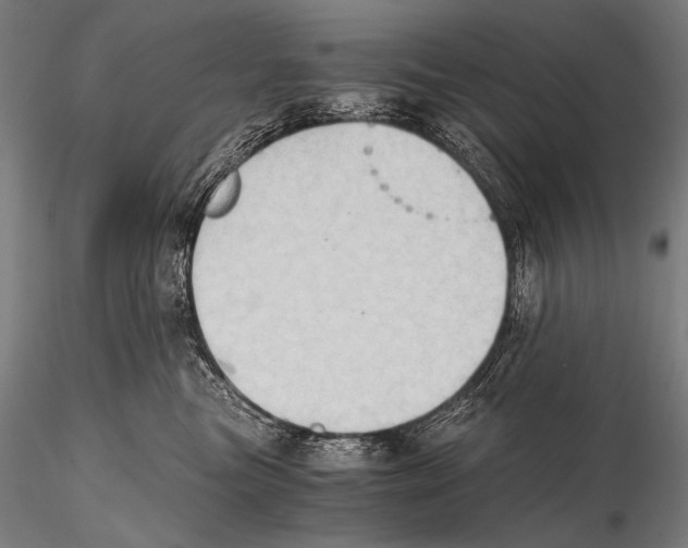 X0000115410473200912011344