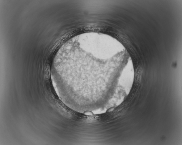 X0000115410474200912011344