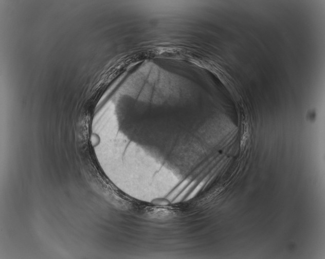 X0000115410475200912011344