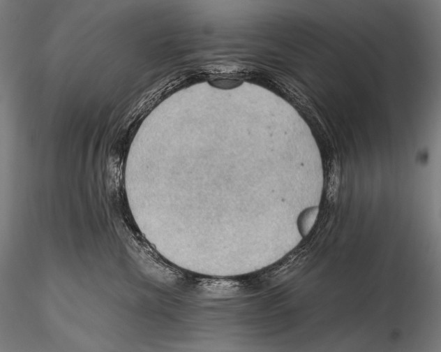 X0000115410476200912011344