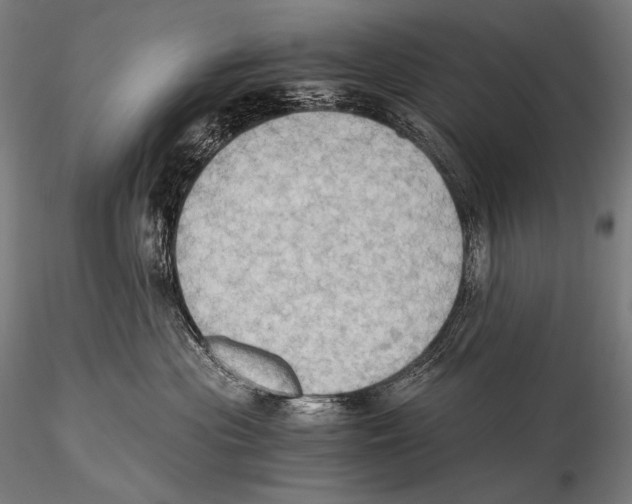 X0000115410477200912011344