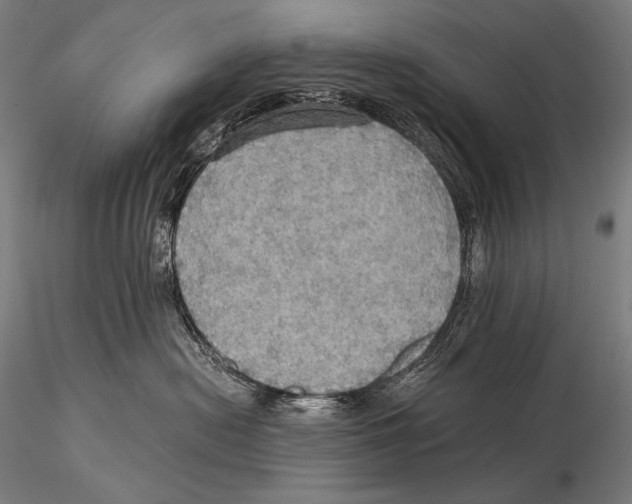 X0000115410478200912011344