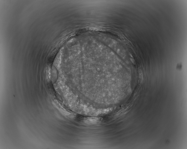 X0000115410479200912011344