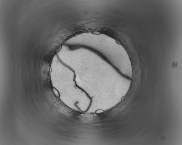 X0000115410480200912011344