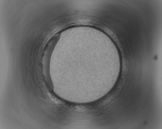 X0000115410481200912011344