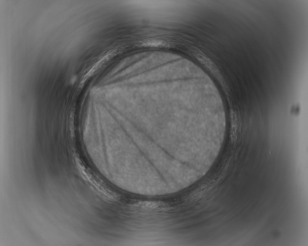 X0000115410482200912011344