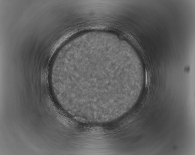 X0000115410483200912011344