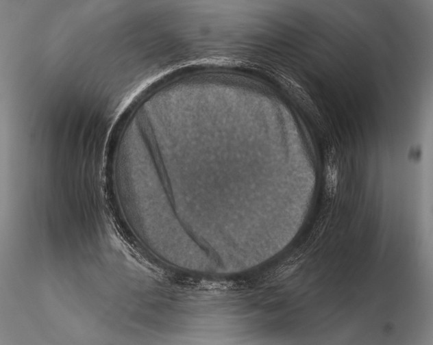 X0000115410484200912011344