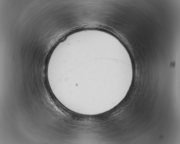 X0000115410485200912011344