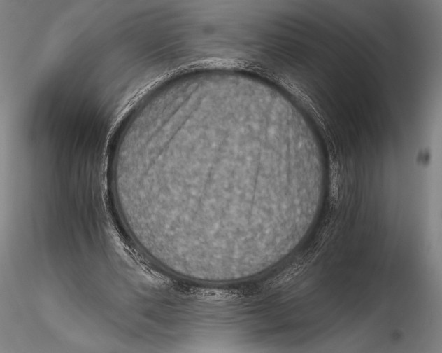 X0000115410486200912011344