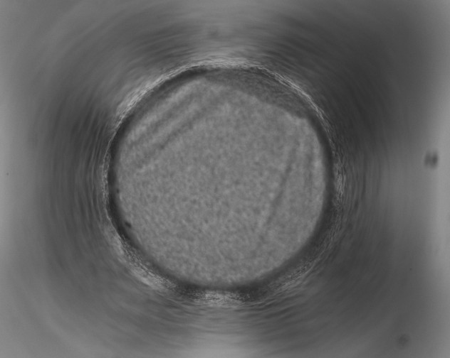 X0000115410487200912011344