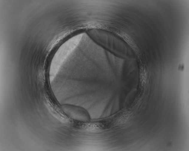 X0000115410488200912011344