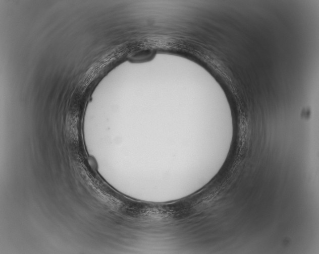 X0000115410489200912011343