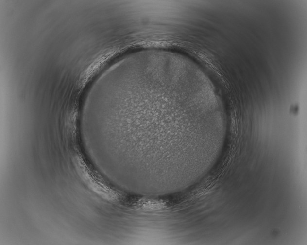 X0000115410491200912011343