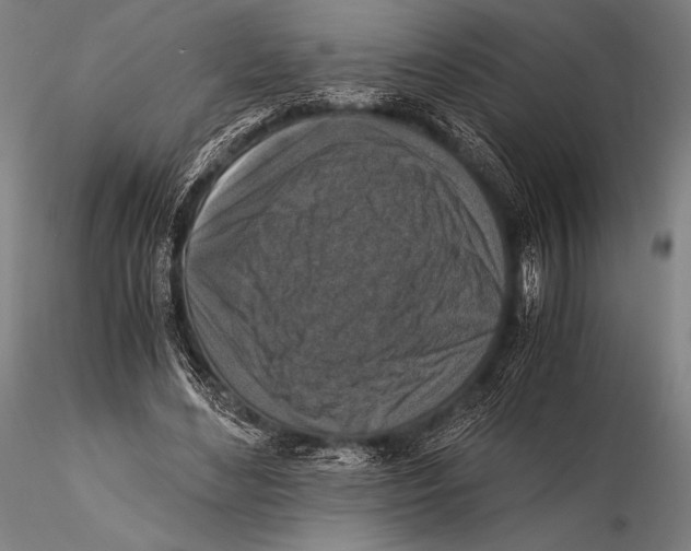 X0000115410492200912011343