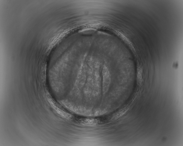 X0000115410493200912011343