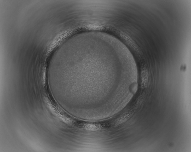 X0000115410494200912011343