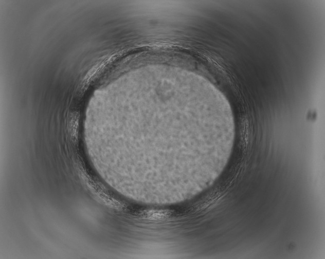 X0000115410495200912011343