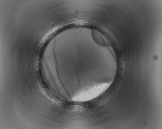 X0000115410496200912011343