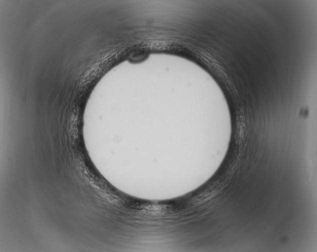 X0000115410497200912011343