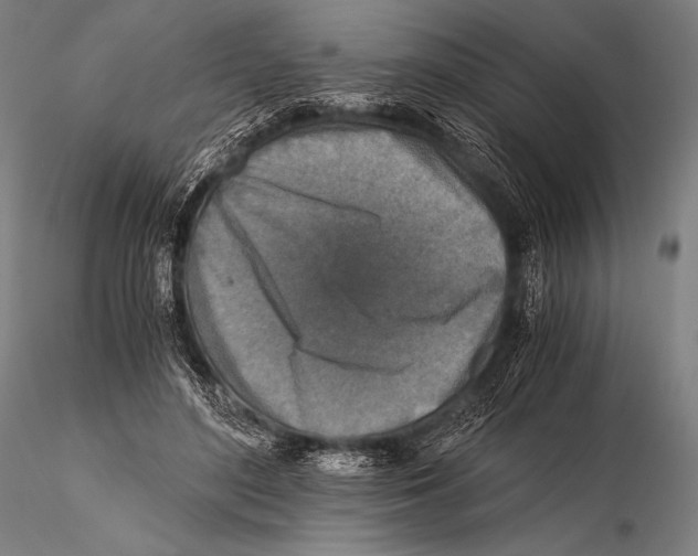 X0000115410500200912011343