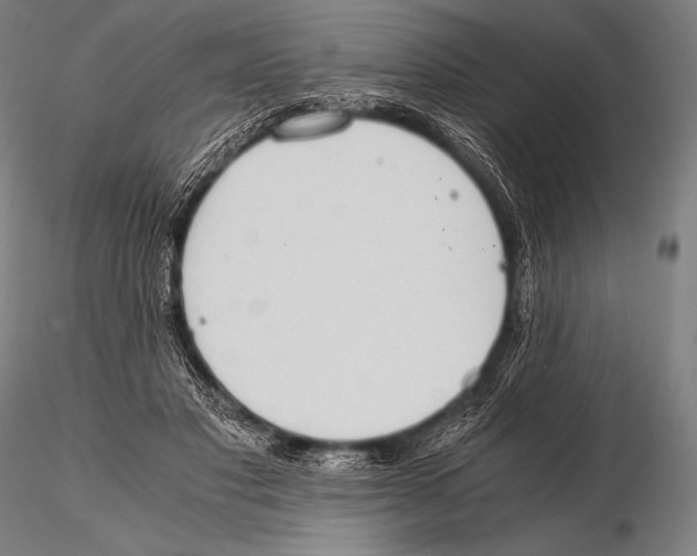 X0000115410501200912011343