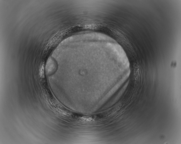 X0000115410502200912011343