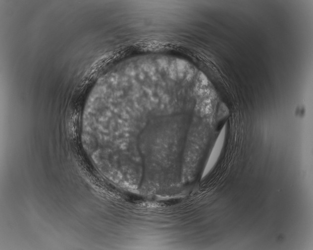 X0000115410503200912011343