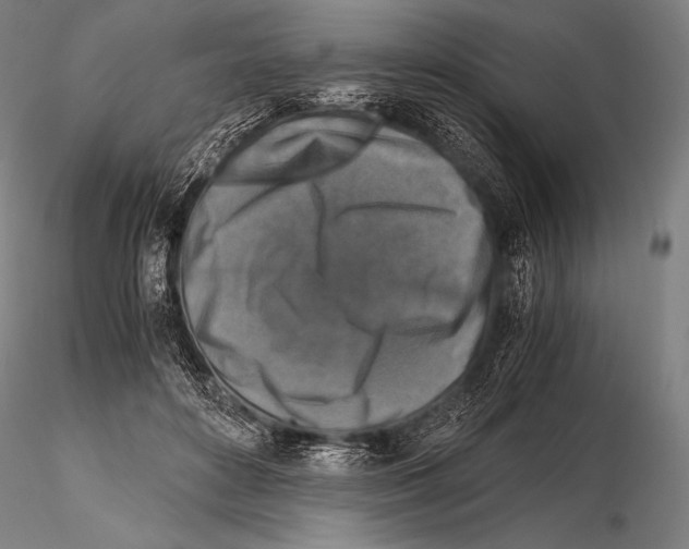 X0000115410504200912011343