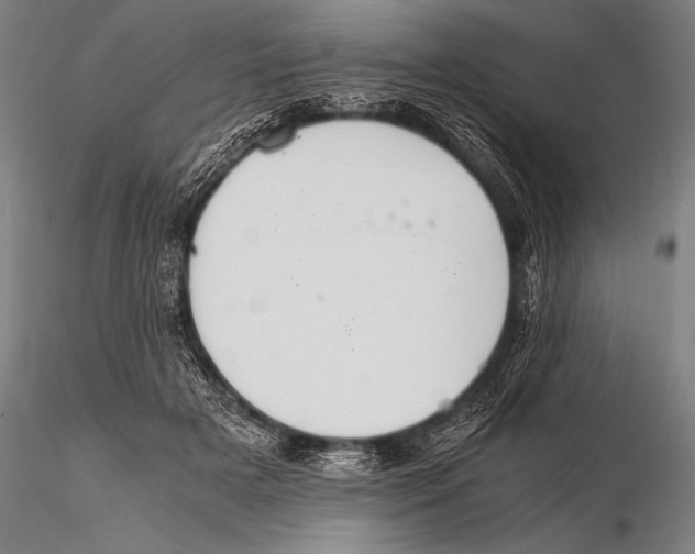 X0000115410505200912011343