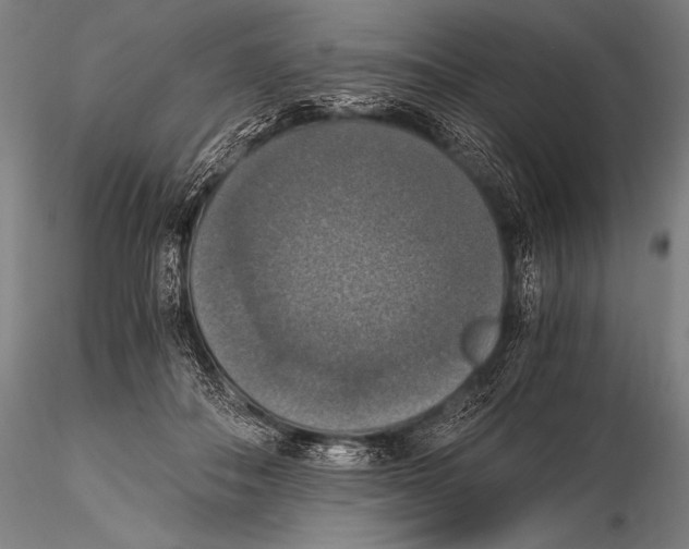 X0000115410506200912011343