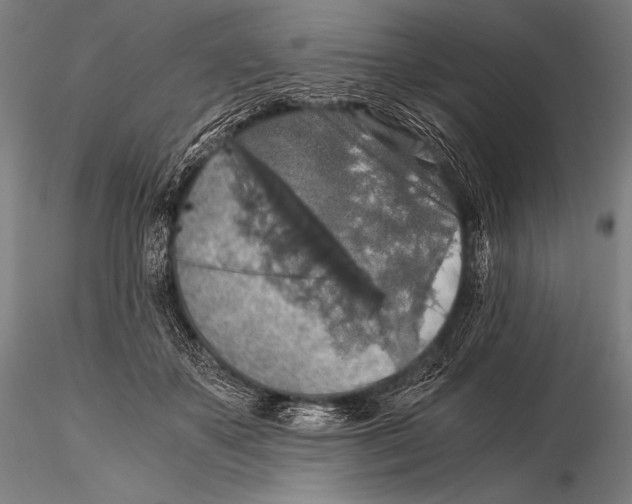 X0000115410507200912011343