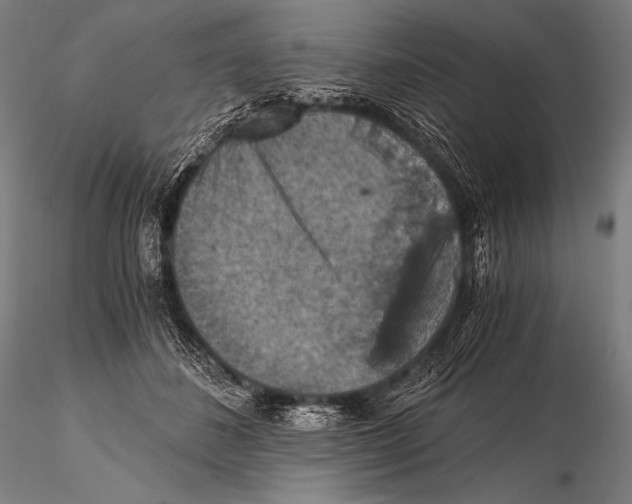 X0000115410508200912011343