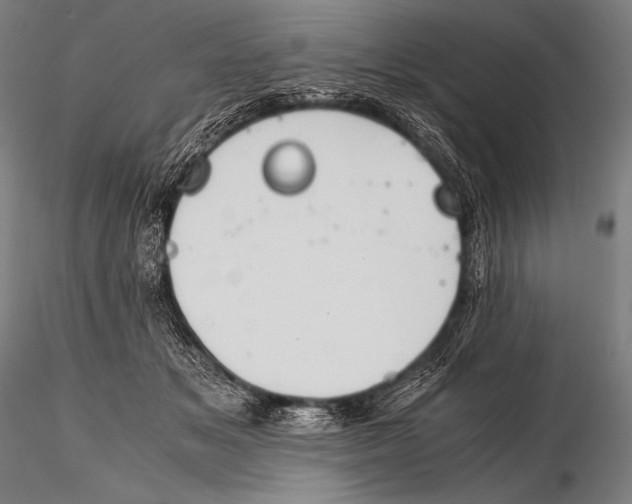 X0000115410509200912011343