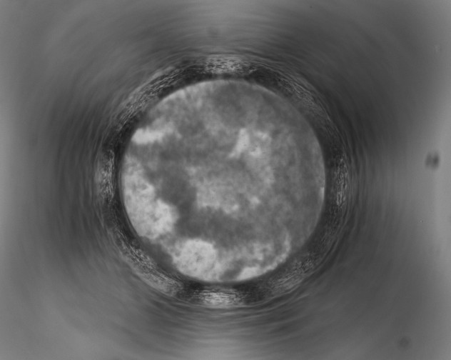 X0000115410510200912011343