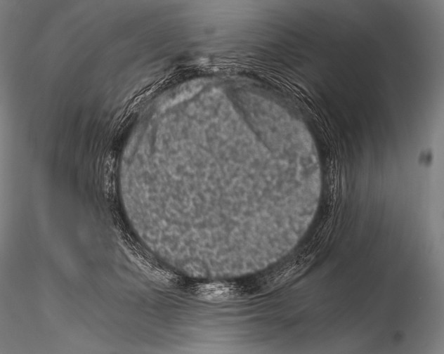 X0000115410511200912011343