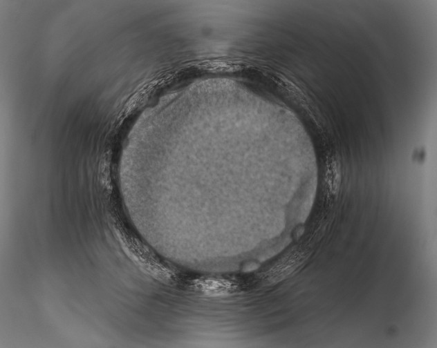 X0000115410512200912011343