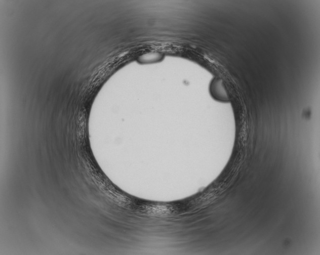 X0000115410513200912011343