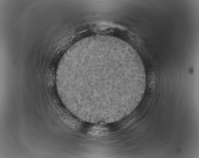 X0000115410515200912011343