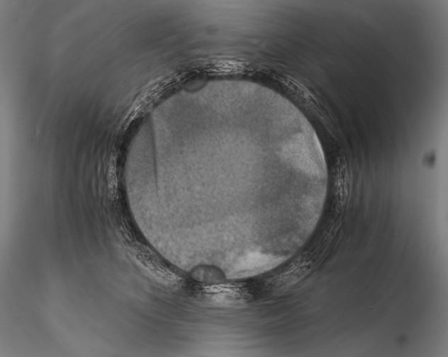 X0000115410516200912011343