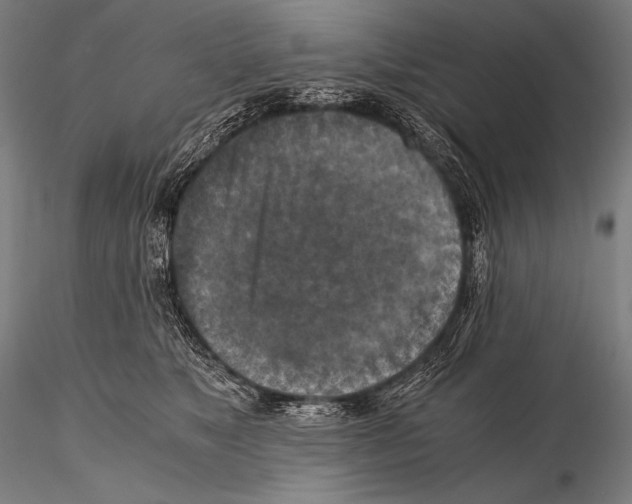 X0000115410517200912011343