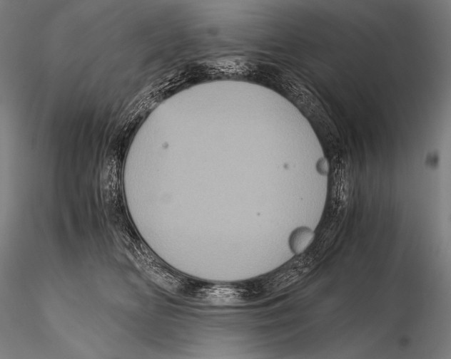 X0000115410518200912011343